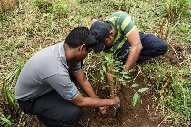 පැළයක් රෝපණය කිරීම; Reforest Sri Lanka කණ්ඩායමේ සාමාජිකයන් දෙදෙනෙක් සමනල වැව ජල පෝෂක ප්‍රදේශයේ පවතී රෝපණ වැඩසටහනේදී.