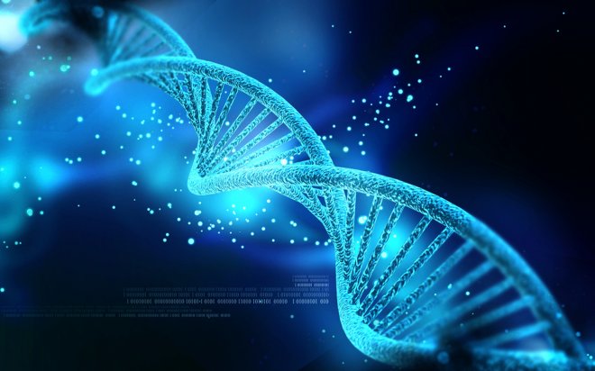 https://assets.roar.media/Bangla/2018/03/DNA-biomarker.jpg