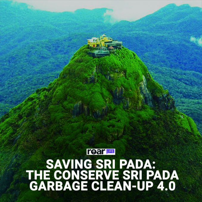 Saving Sri Pada The Conserve Sri Pada Garbage Clean Up 4 0 Roar Media