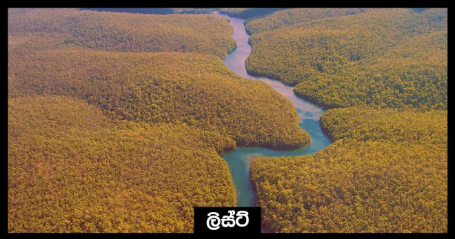 https://assets.roar.media/Sinhala/2017/10/cover-01.jpg