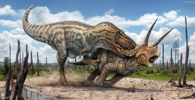 https://assets.roar.media/Sinhala/2018/03/t_rex_vs_triceratops_by_swordlord3d-d9bd8h3.jpg