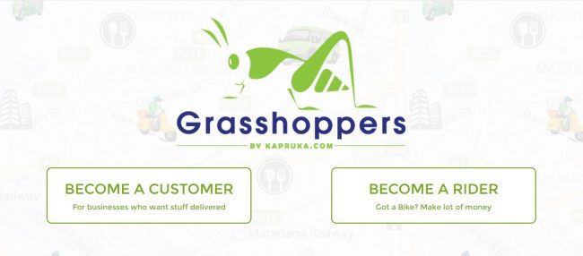 grasshoppers