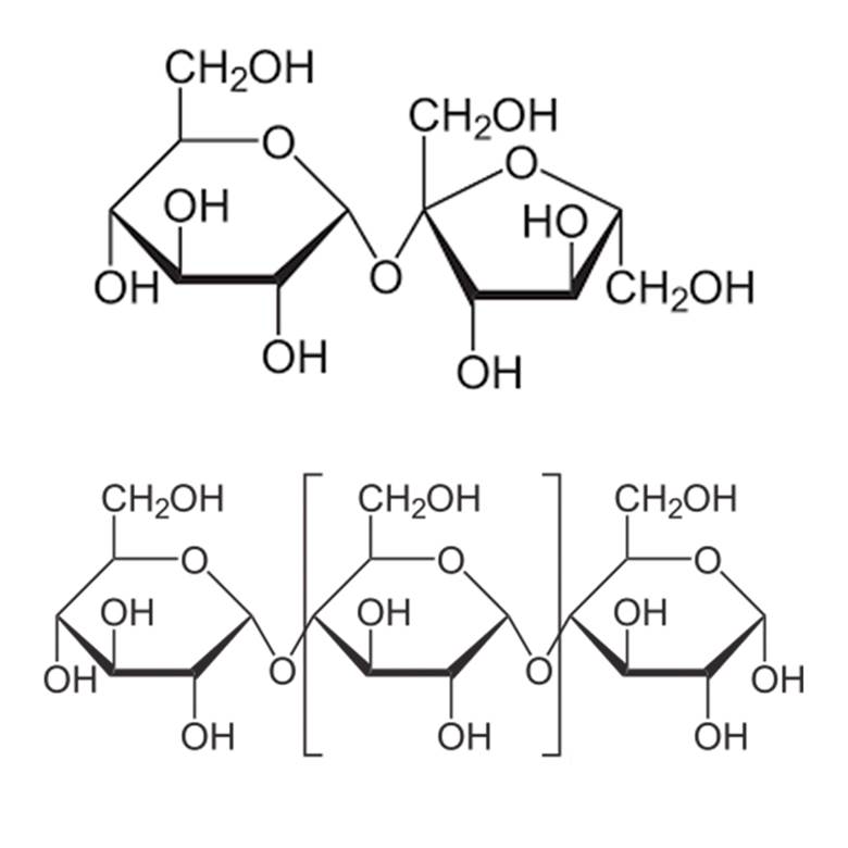 sucrose molecule