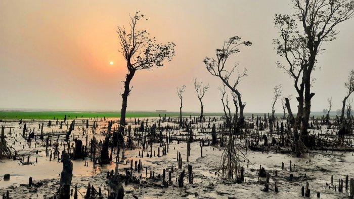 শেষ বিকেলের নির্জনতা।