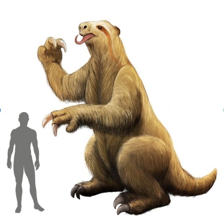The bones found correspond to giant sloths similar to those in this image, whose height can easily exceed twice that of a person. Illustration: Franklin Rodríguez