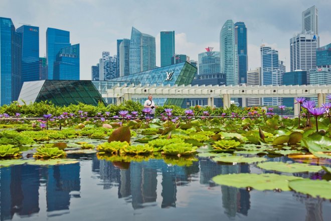 https://assets.roar.media/assets/5yST03QfI9MHBL7o_singapore-vegetation-in-concrete-jungle.jpg