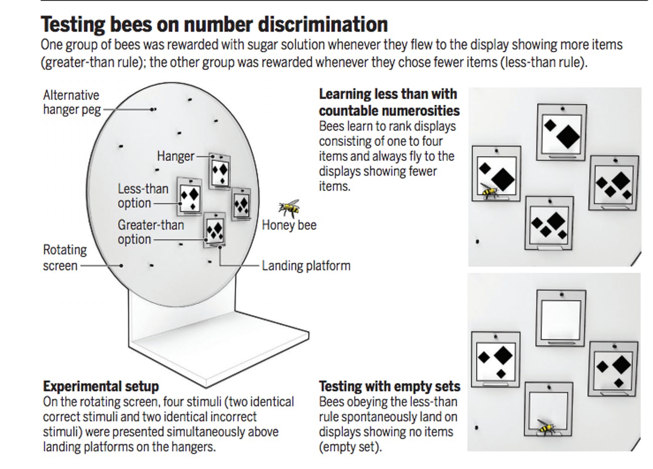 number test on bees