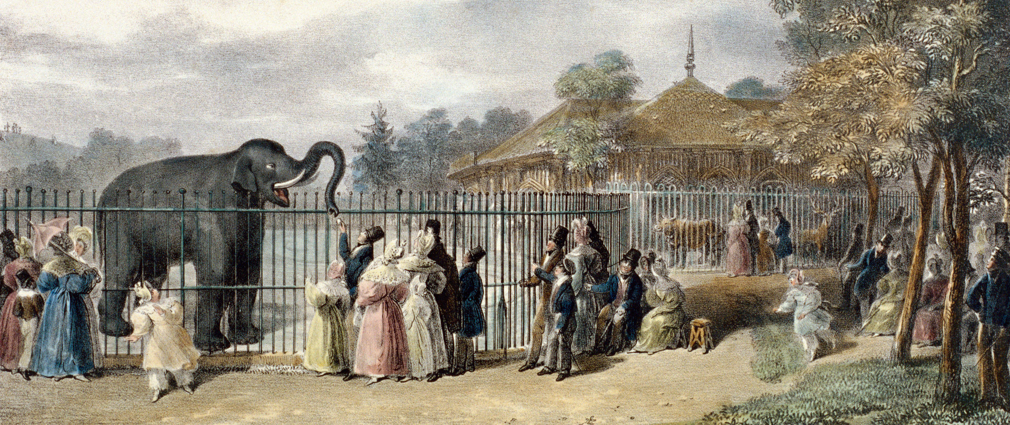 Кем организован московский зоосад в 19 веке. Лондонский Тауэр зверинец. Зоопарк Лондона 19 век. 10 Июня 1793 — в Париже создан первый в мире публичный зоопарк.. 1828 Лондонский зоопарк.