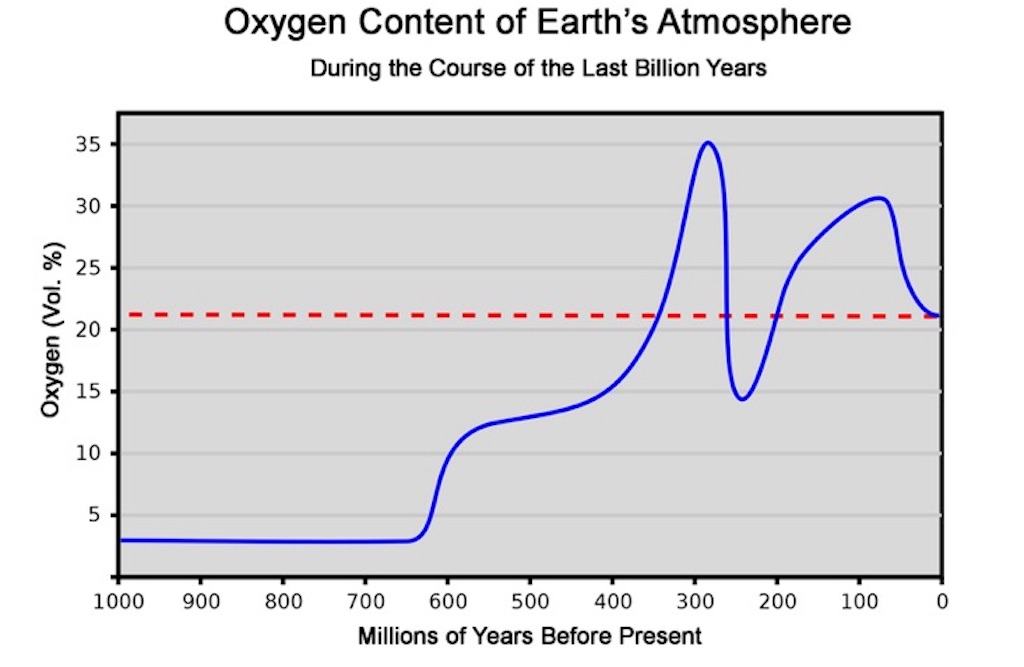 oxygen saturation change over time