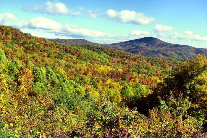 Day image of Brown mountain