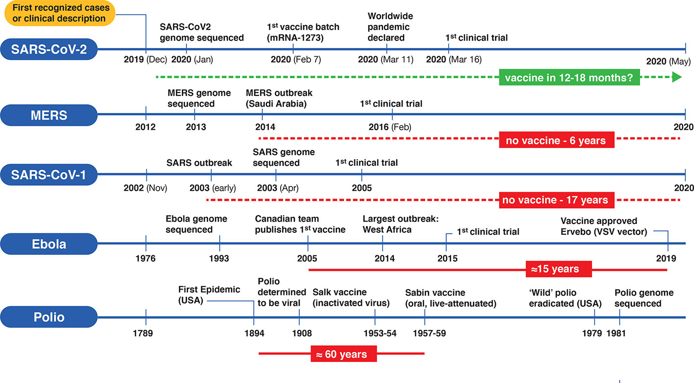 vaccine development timelines
