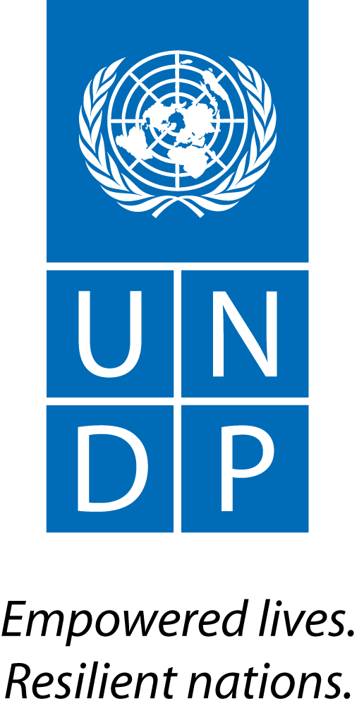 https://assets.roar.media/assets/MZswePcspKpLdWzC_UNDP_Logo_Black-Text.png