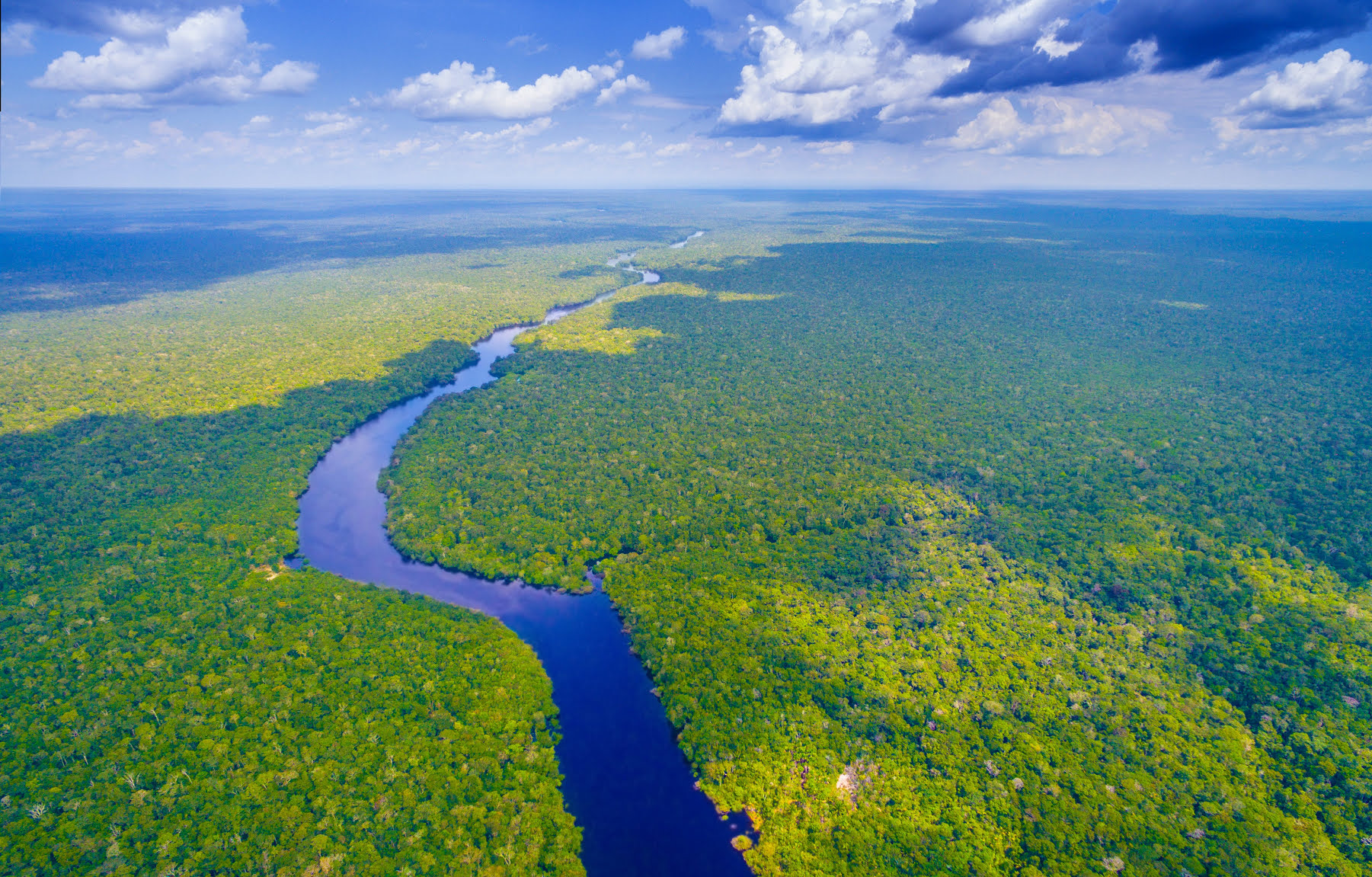The Amazon rainforest is facing devastation – here's how travelers can help 