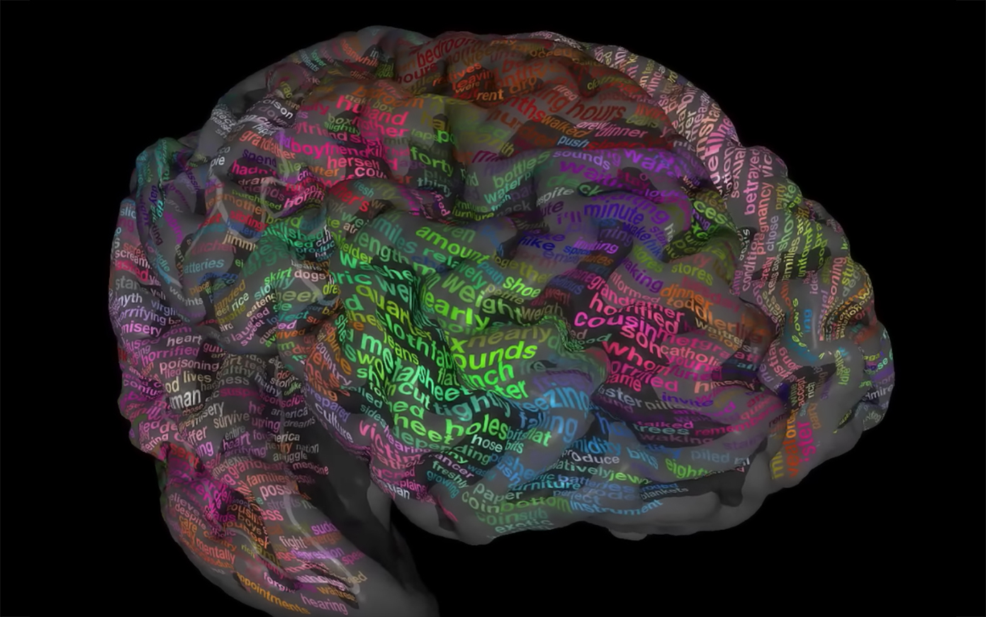 word map of brain
