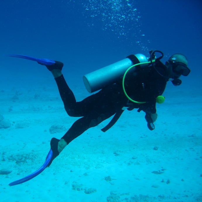https://en.wikipedia.org/wiki/Scuba_diving#/media/File:Buzo.jpg