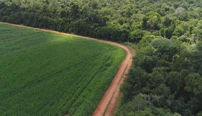 https://assets.roar.media/assets/ZhZ0UseveFTPDRuf_studying-deforestation-in-the-amazon-rain-forest-promo.jpg