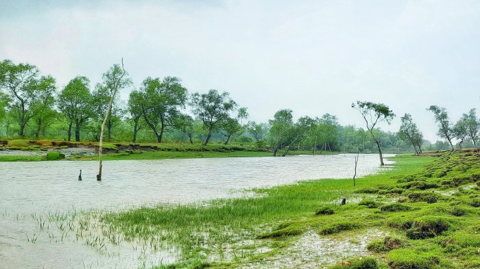 যেখানে নদী এসে থেমে গেছে।