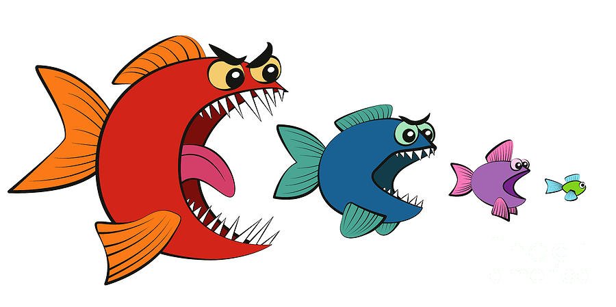 বড় মাছ যেমন ছোট মাছদের খেয়ে ফেলে তেমন সামাজিক অবস্থাকে বলা হয় মাৎস্যন্যায়; Image Source: pixels.com
