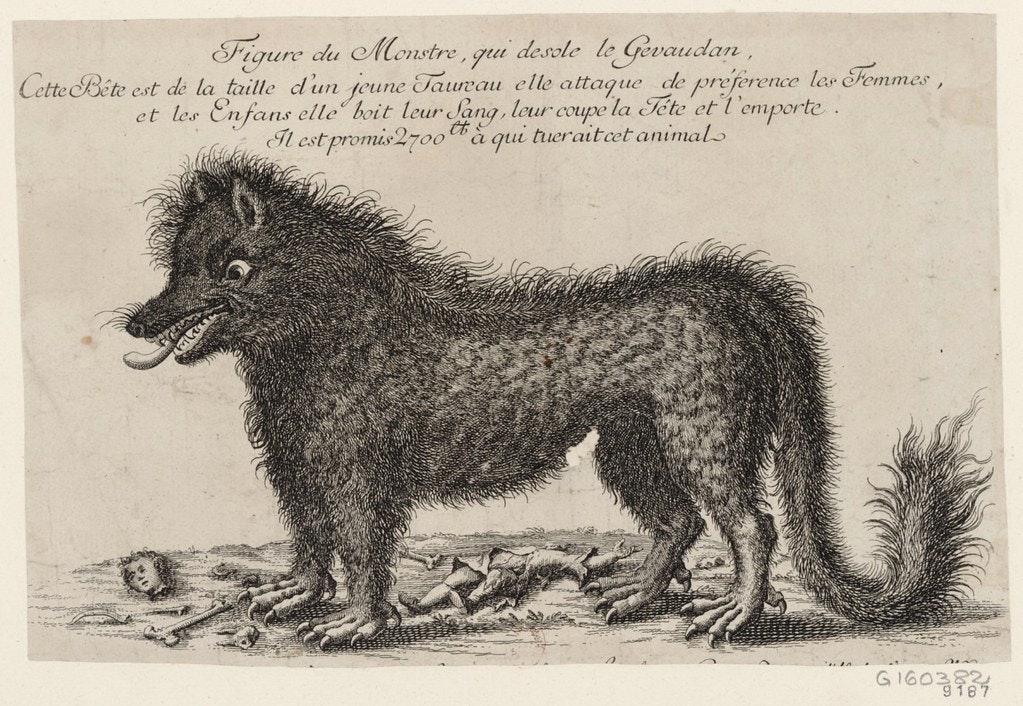 Picture of the monster desolating the Gévaudan