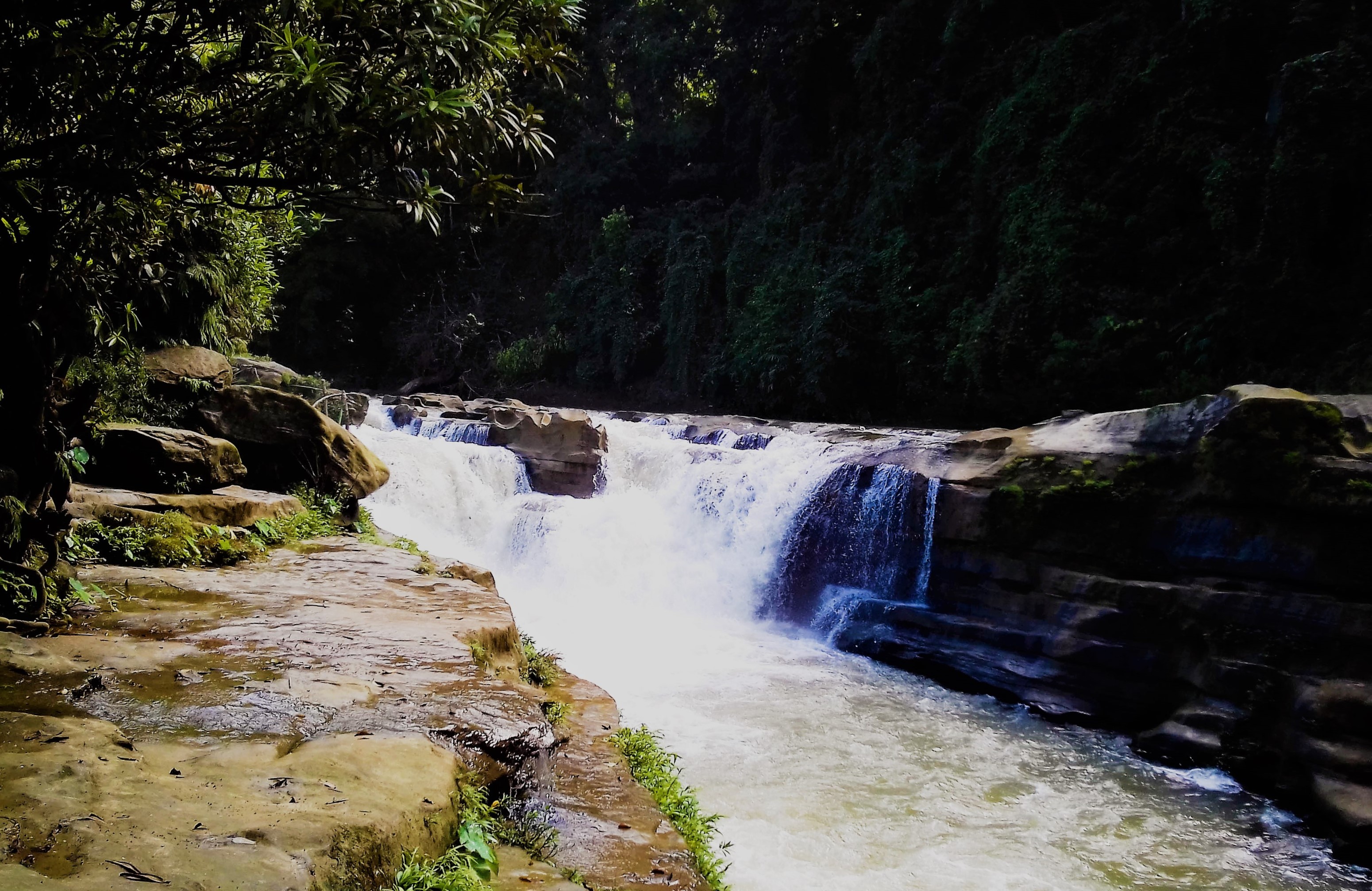 পদব রজ ন ফ খ ম জয