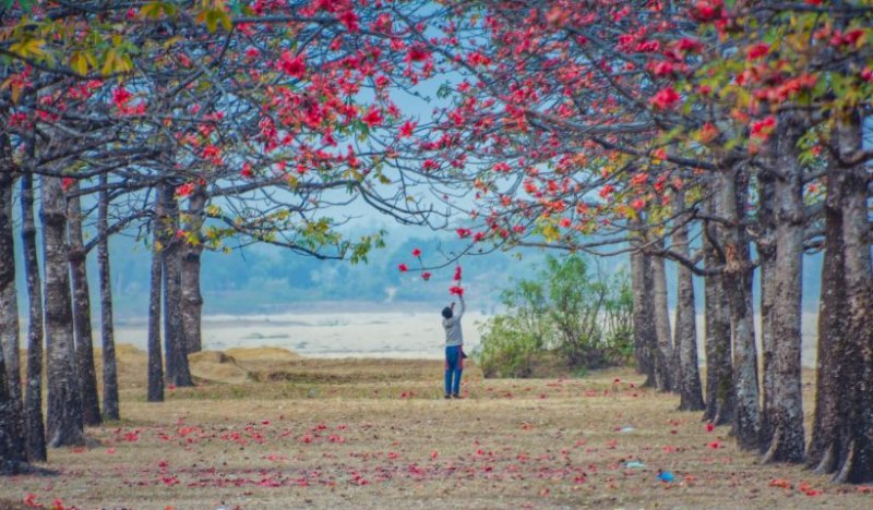 মেঘ, হাওড় ও শিমুলের সন্ধানে সুনামগঞ্জে