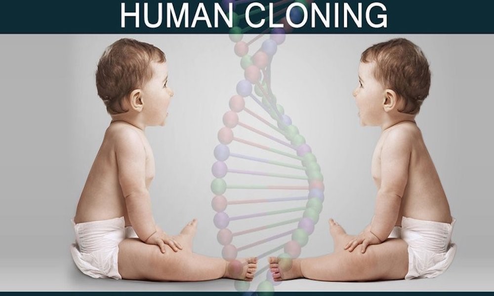 https://www.researchgate.net/post/Should_Human_Cloning_Be_Allowed_What_Are_The_Disadvantages_Of_Human_Cloning