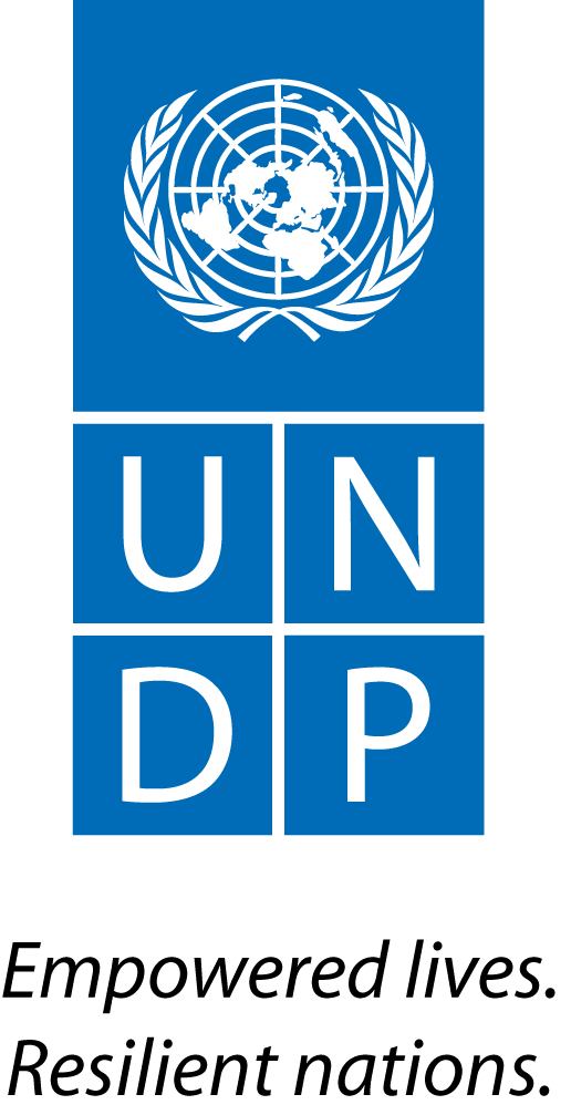 https://assets.roar.media/assets/qwthPEF8H50BvArw_UNDP_Logo_Black-Text.png