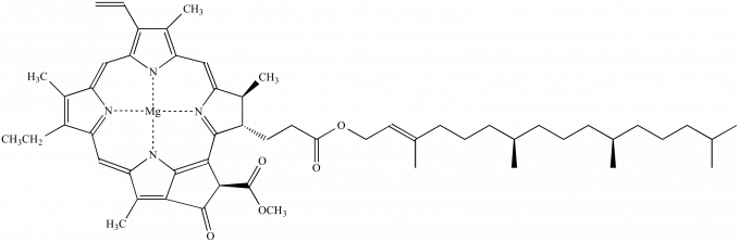 ক্লোরোফিলের গঠন: Image Source- chem.ucla.edu
