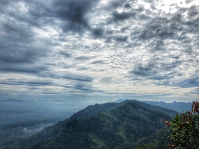 নীলগিরি তে পাহাআর ও মেঘের মিতালী