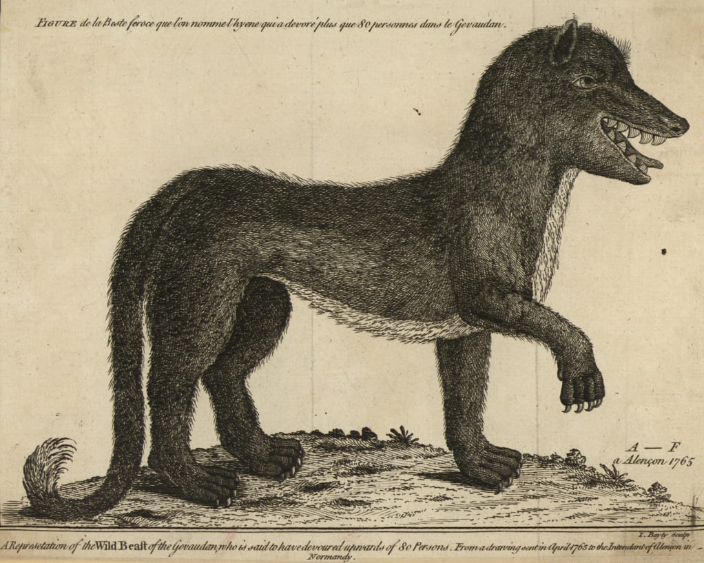 Illustration of the Beast of Gévaudan, circa 1765.  Mansell/The LIFE Picture Collection/Getty Images