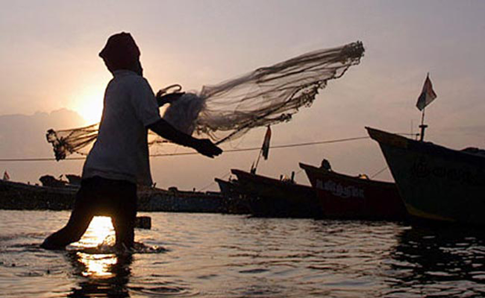 Everything is destroyed': dynamite use sends shockwaves through fishing  industries, Sri Lanka